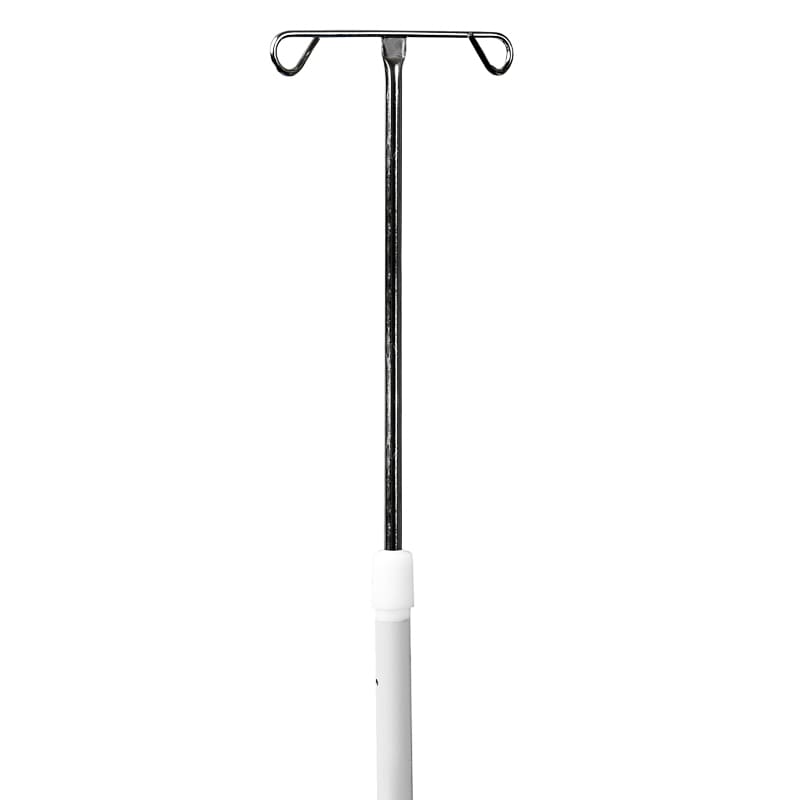 Two Hook Infusion Pole