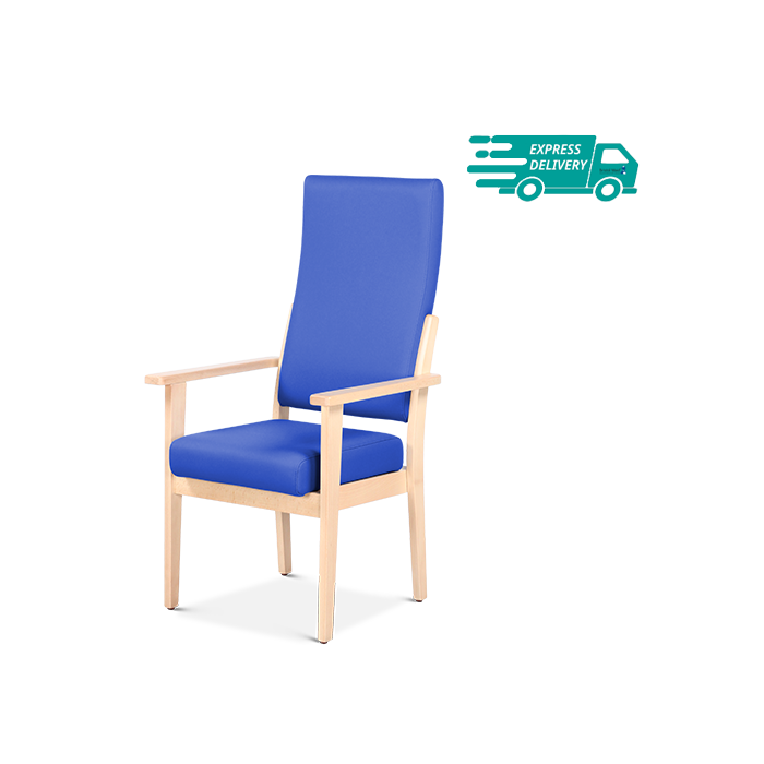 High Back Patient Armchairs - Alderbury (5ND/HAF/ALDE/VVDEL)