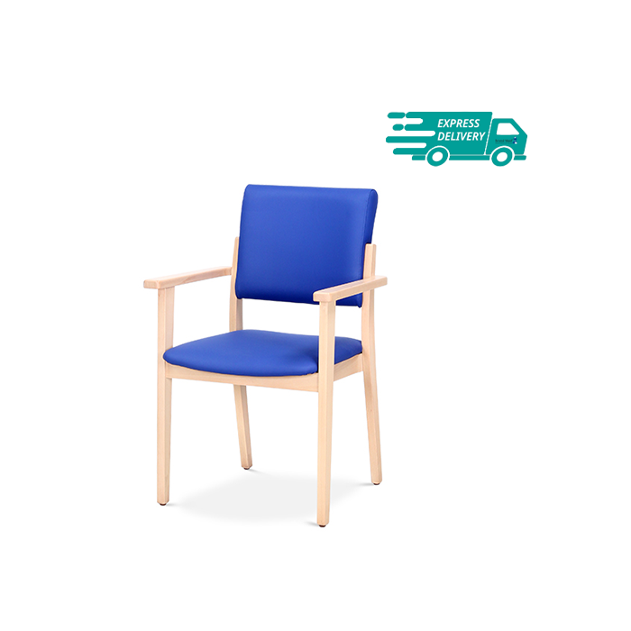 Low Back Patient Chairs - Alderbury {5ND/LC/ALDE/VVDEL)