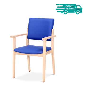 Low Back Patient Chairs - Alderbury {5ND/LC/ALDE/VVDEL)